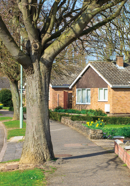 Picture of a house
