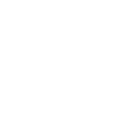 Badge icon